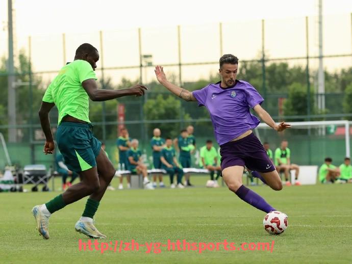 华体会hth登录入口-英超球员穆萨·登贝莱的职业生涯及赛场表现介绍