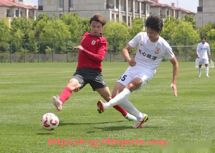 华体会hth登录入口-黑马崛起与豪门沉沦 2020赛季法甲积分榜全景分析