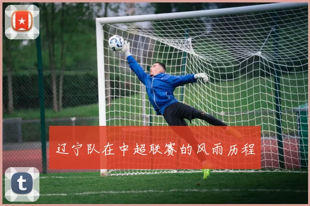 辽宁队在中超联赛的风雨历程